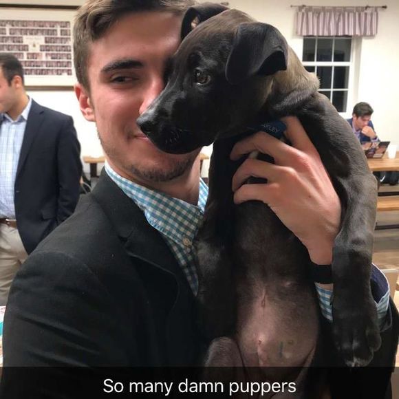 Meet your Posher, Cordell - Picture 1 of 1